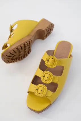 Beklina Buckle Clog Pineapple