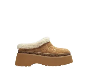 Coach Womens Cecelia Signature Suede Clogs