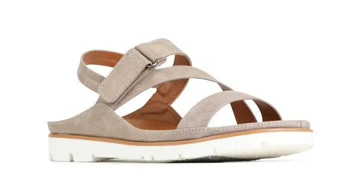 Los Carbos Ashli Back Strap Shoe Taupe 37