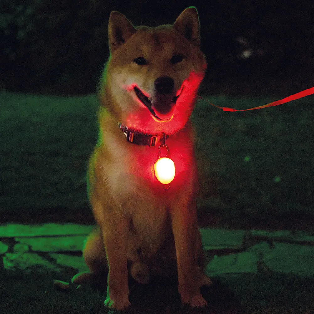 M-PETS Rechargeable LED JEWEL For Dogs
