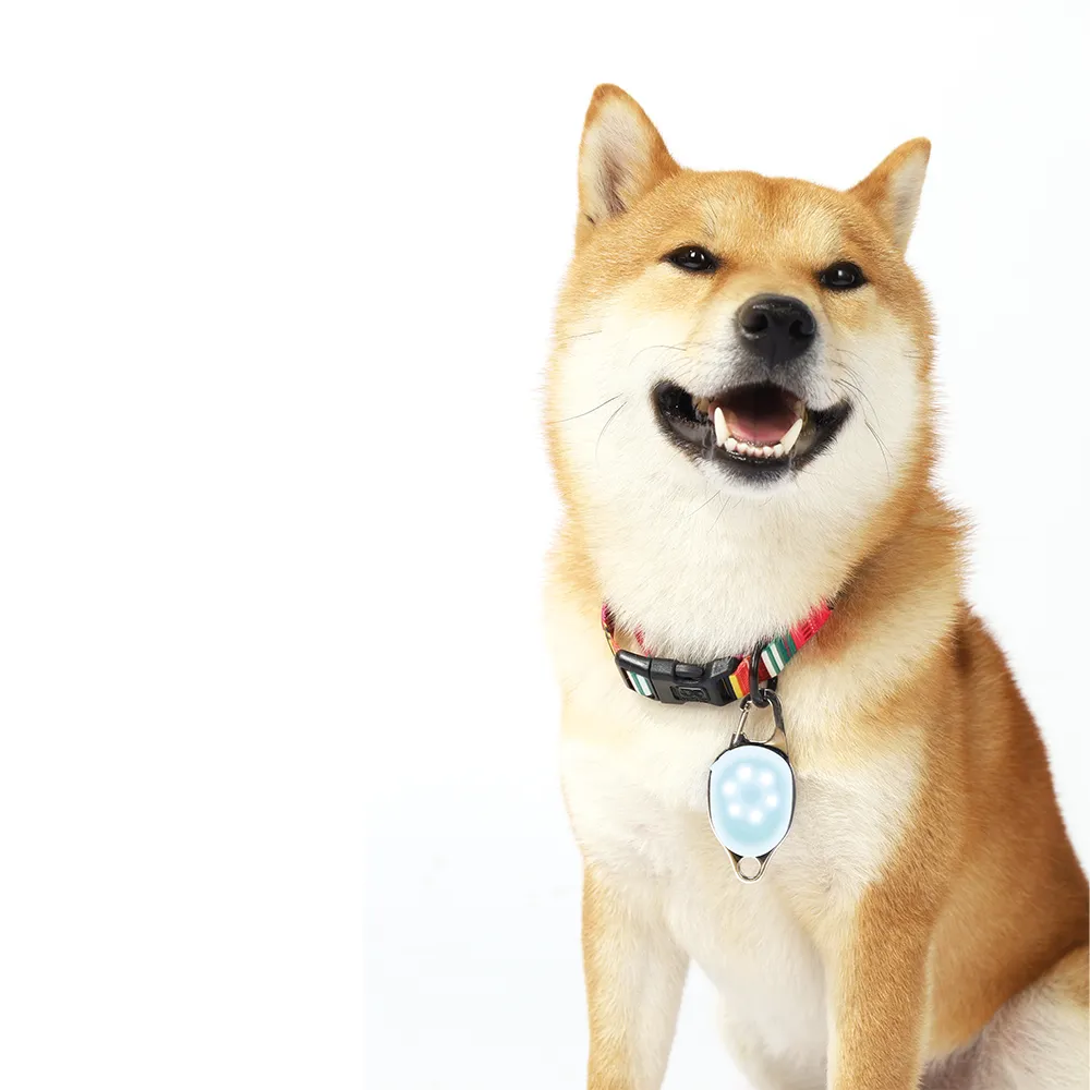 M-PETS Rechargeable LED JEWEL For Dogs