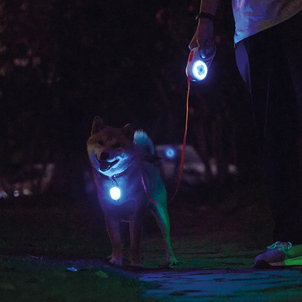 M-PETS Rechargeable LED JEWEL For Dogs