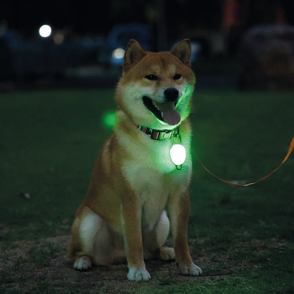 M-PETS Rechargeable LED JEWEL For Dogs