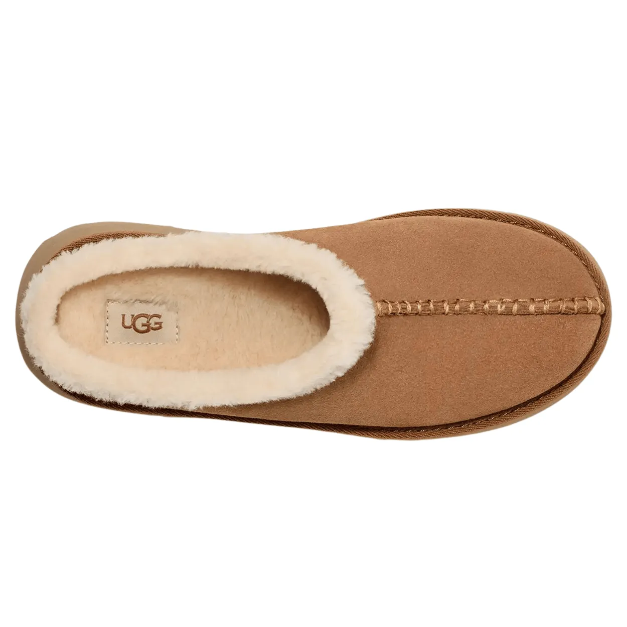 Women's New Heights Cozy Clog